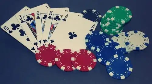 Live Casino lucyfish